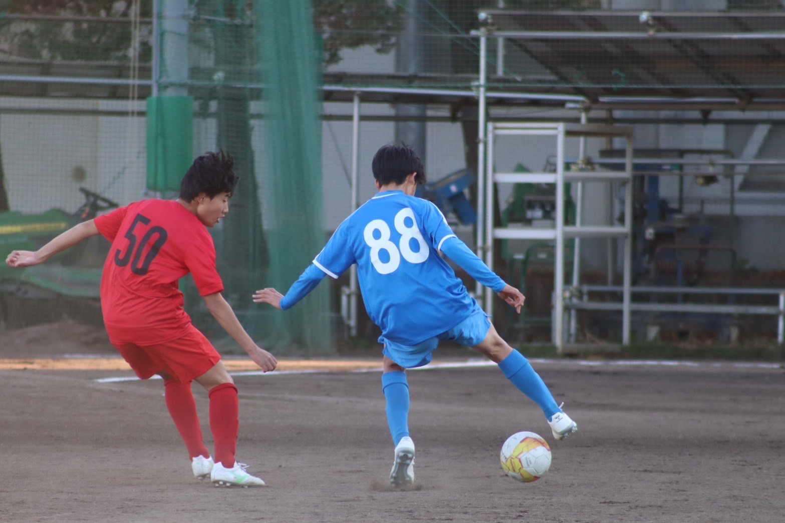 Image (3)